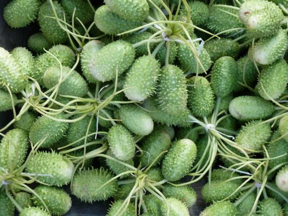 Frutas típicas vendidas no mercado de Coari, às margens do rio Solimões, no Amazonas